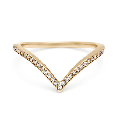 Diamond Dusted Chrysalis Band - 14k Gold & White Diamonds